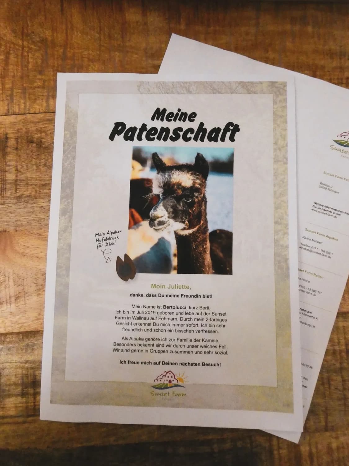 Urkunde mit Tierfoto