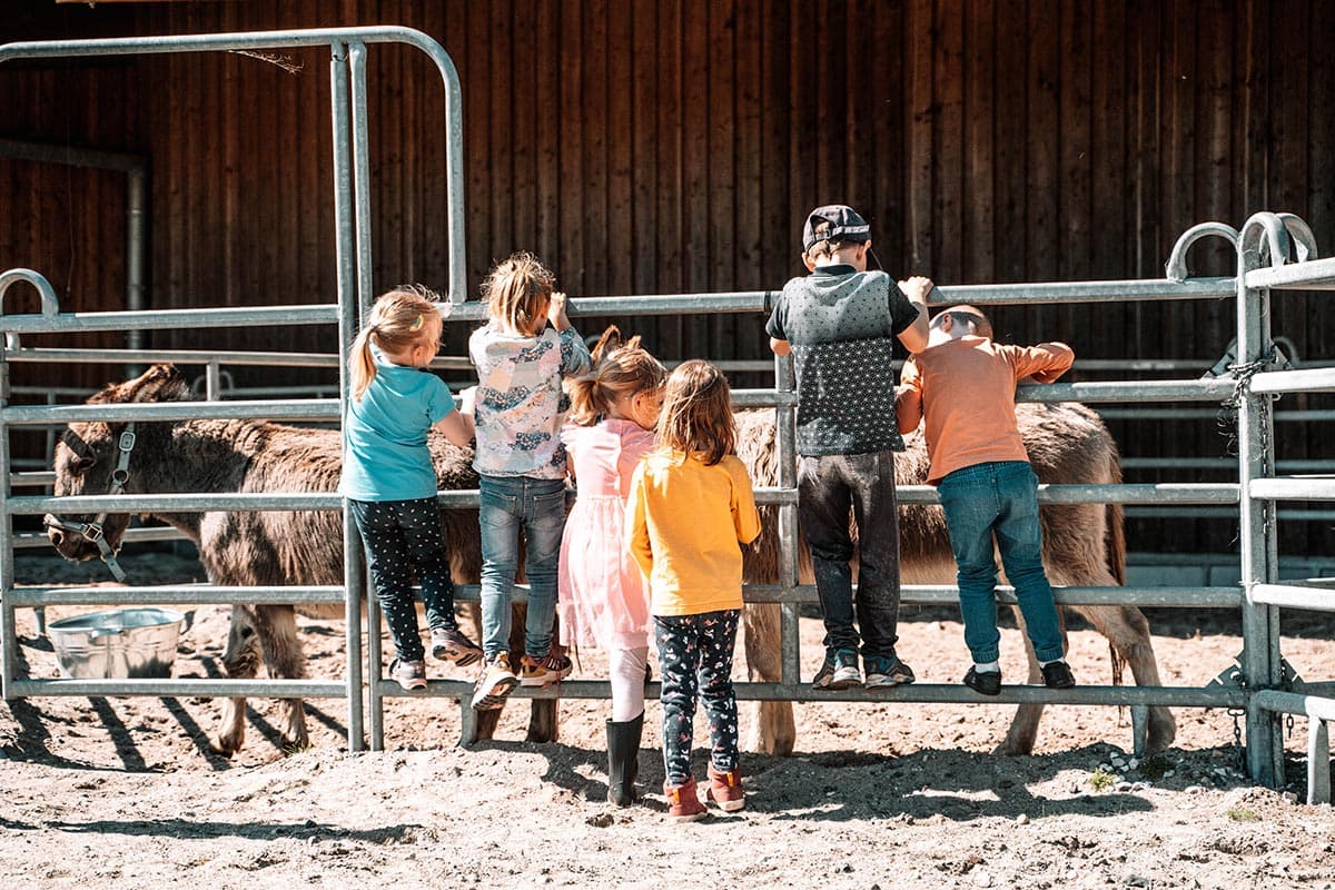 Kindergeburtstag mit Ponys